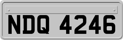 NDQ4246