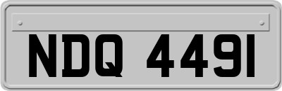 NDQ4491
