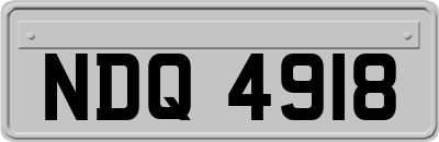NDQ4918