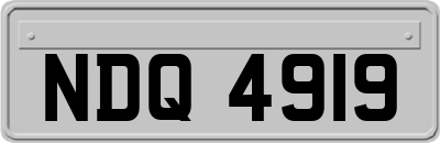 NDQ4919
