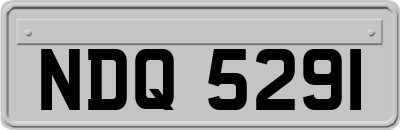 NDQ5291