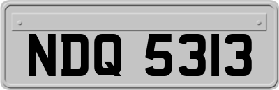 NDQ5313