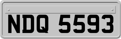 NDQ5593