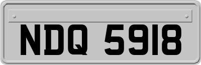 NDQ5918