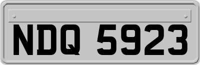 NDQ5923