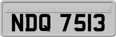 NDQ7513