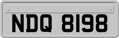 NDQ8198