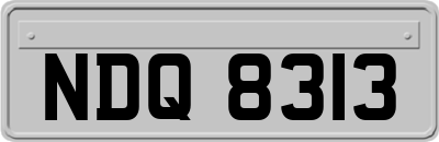 NDQ8313