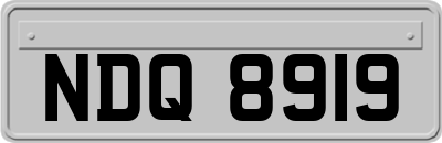 NDQ8919