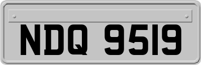 NDQ9519