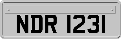 NDR1231