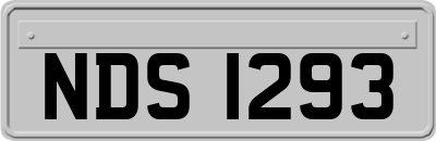 NDS1293