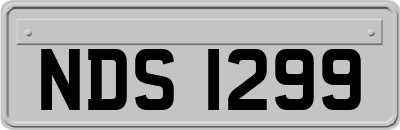 NDS1299