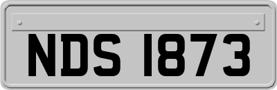 NDS1873