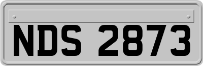NDS2873
