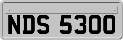 NDS5300