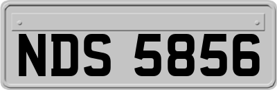 NDS5856