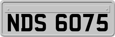 NDS6075