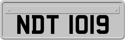 NDT1019