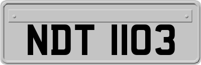 NDT1103