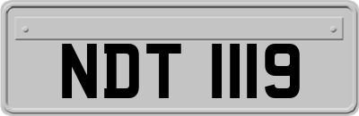 NDT1119
