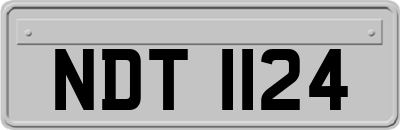 NDT1124