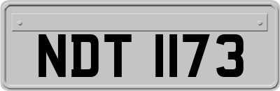 NDT1173