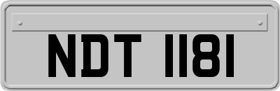 NDT1181