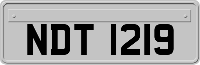 NDT1219