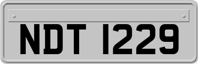 NDT1229