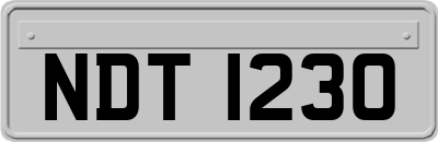 NDT1230