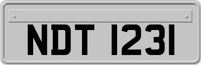 NDT1231