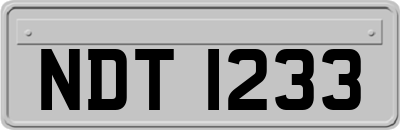 NDT1233