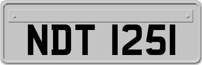 NDT1251
