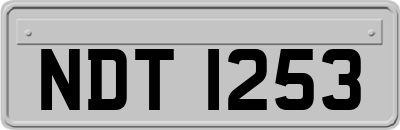 NDT1253