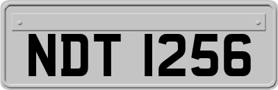 NDT1256