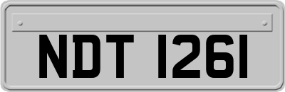 NDT1261