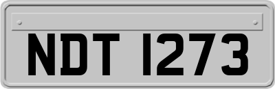 NDT1273