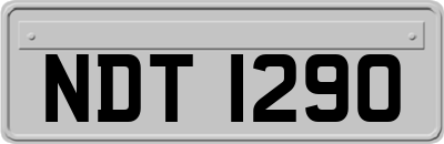 NDT1290