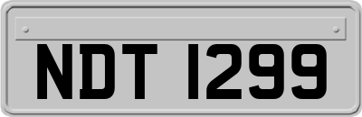 NDT1299