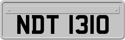 NDT1310
