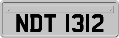 NDT1312