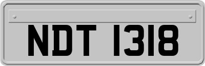 NDT1318