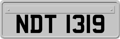 NDT1319
