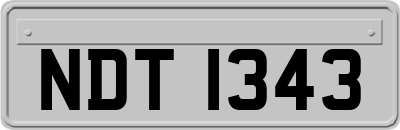 NDT1343