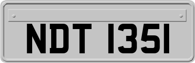 NDT1351