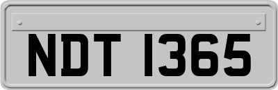 NDT1365