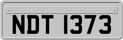 NDT1373