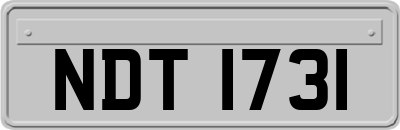 NDT1731