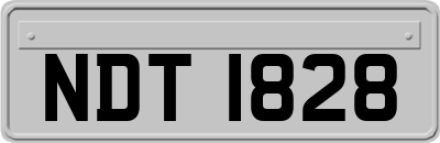 NDT1828